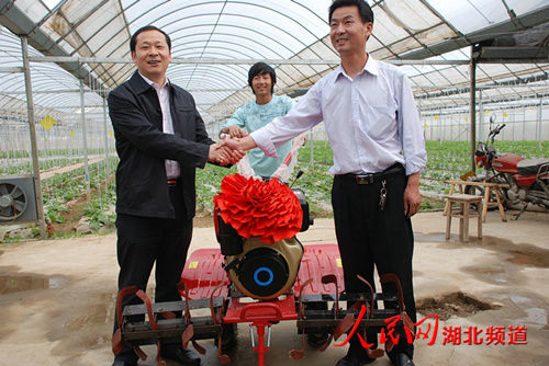 湖北省鄉(xiāng)村振興局黨組成員、副局長楊遙來我公司基地調(diào)研指導(dǎo)工作