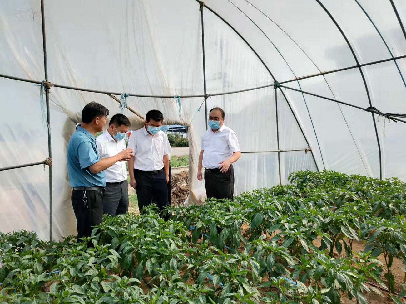 麻城市政府市長裴永波來公司基地調(diào)研指導(dǎo)工作