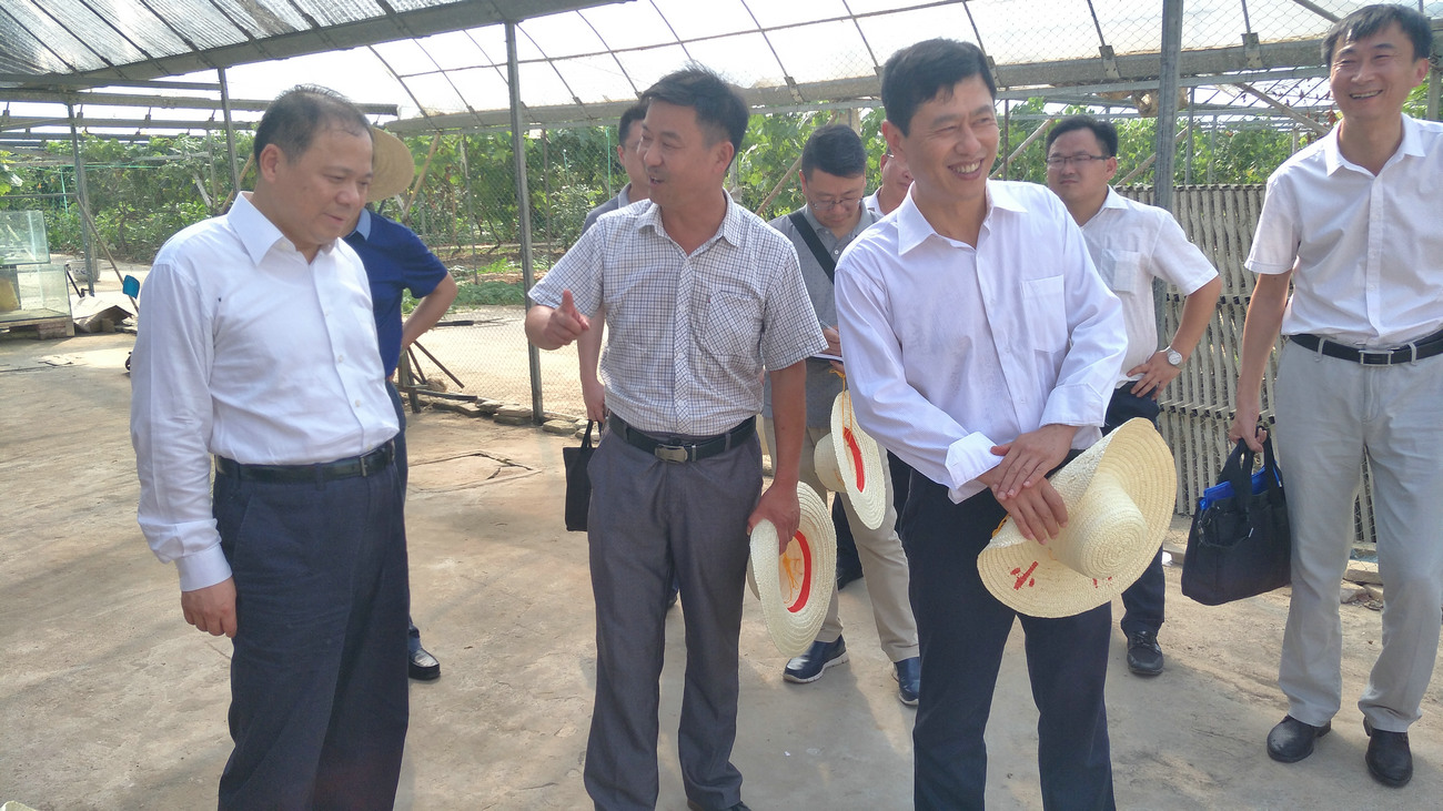 湖北省人大常委會原副主任萬勇來公司視察指導(dǎo)工作