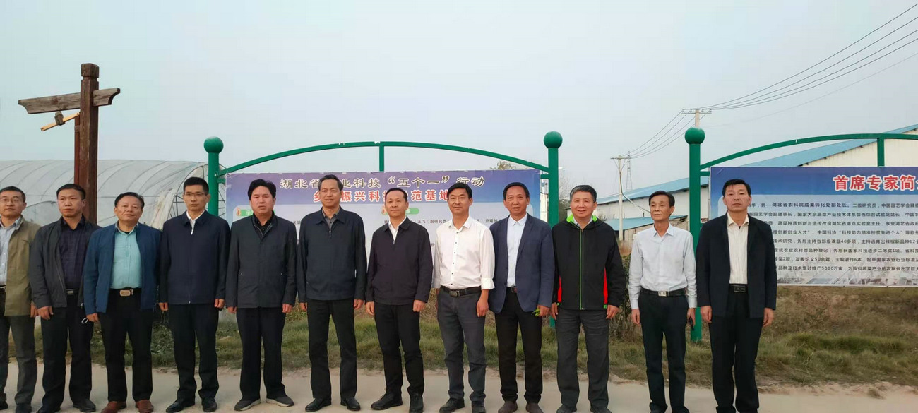 湖北省農(nóng)業(yè)農(nóng)村廳黨組成員、省農(nóng)業(yè)科學(xué)院黨委書記劉曉洪來我公司基地調(diào)研指導(dǎo)工作