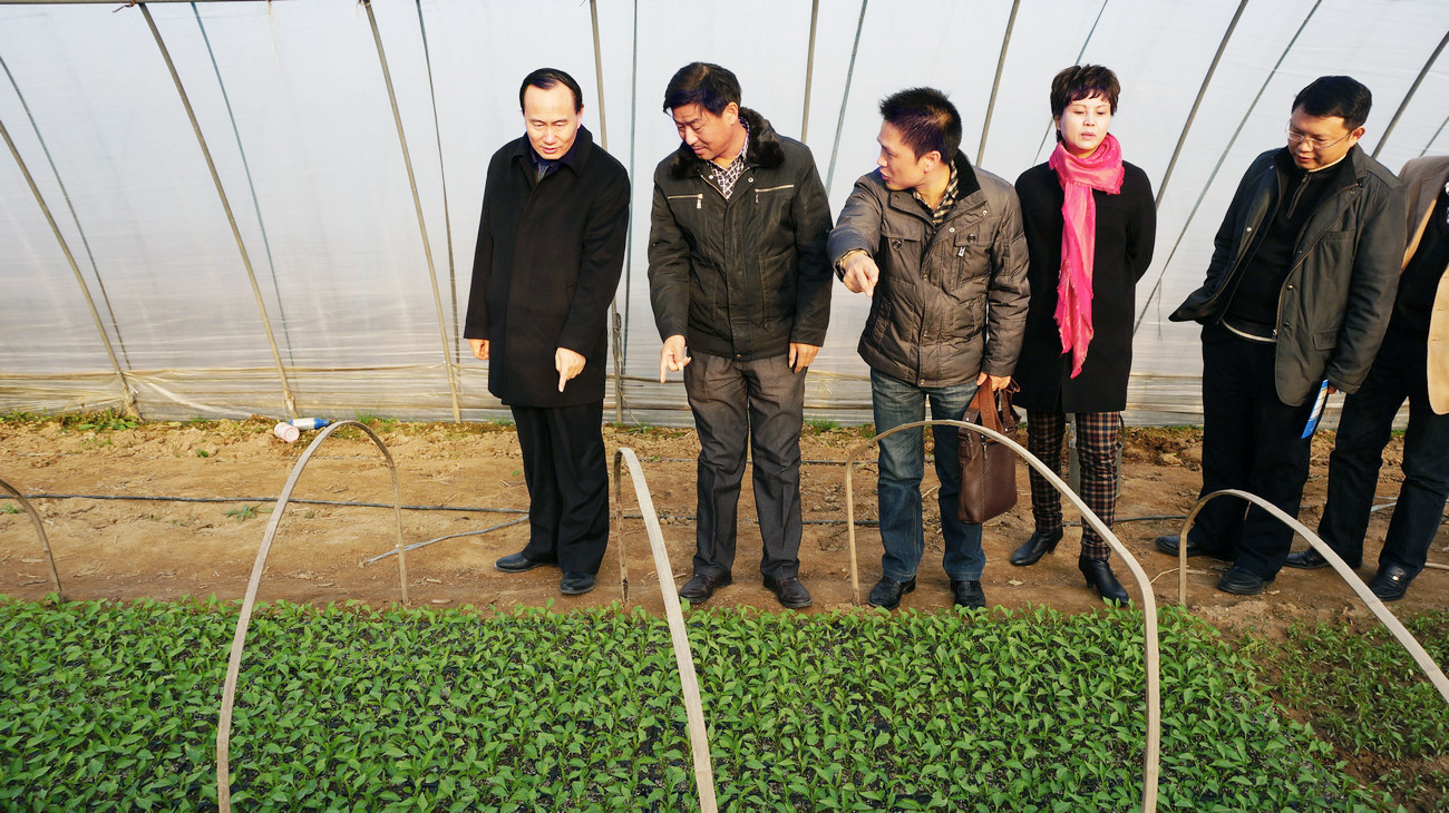 湖北省人大常委、省人大教育科學(xué)文化衛(wèi)生委員會副主任委員、湖北省科學(xué)技術(shù)廳一級巡視員劉望清來公司基地視察指導(dǎo)工作